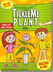 Tickle Me Plant