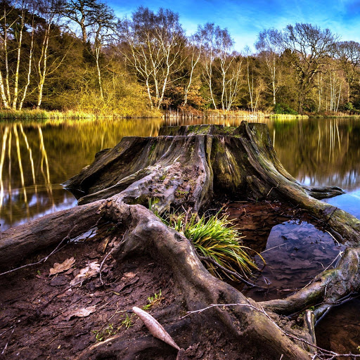 Hd-151540-ascw151540