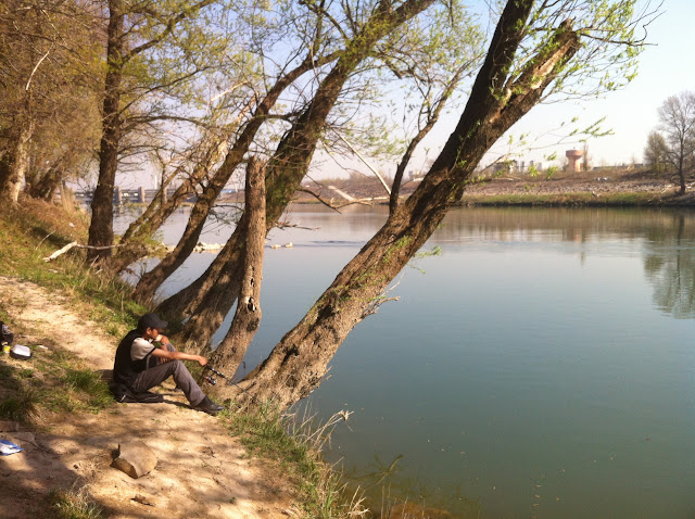 Vieux Rhône à Irigny en  aval réserve de Pierre-Bénite photo #970