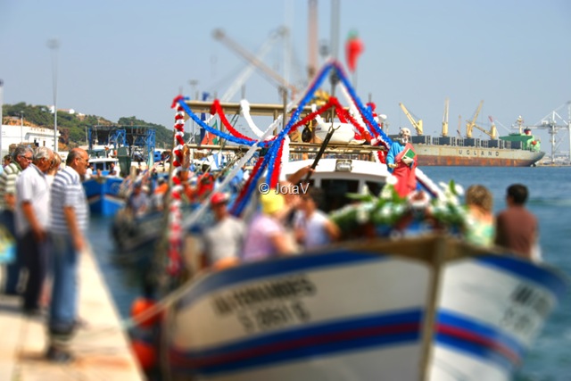 [IMG_3429tiltshift4.jpg]