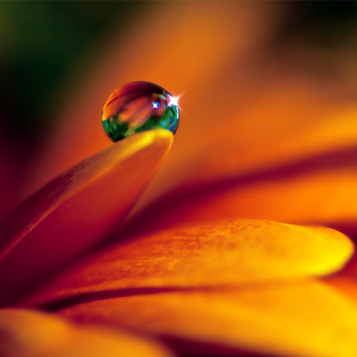 Hd-162531-ascw162531