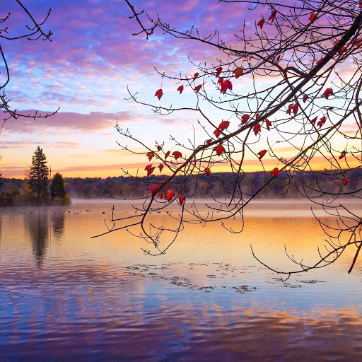 Hd-142060-ascw142060