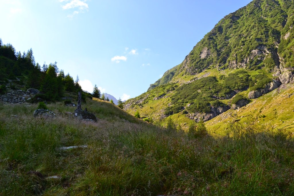 [DSC_12603.jpg]