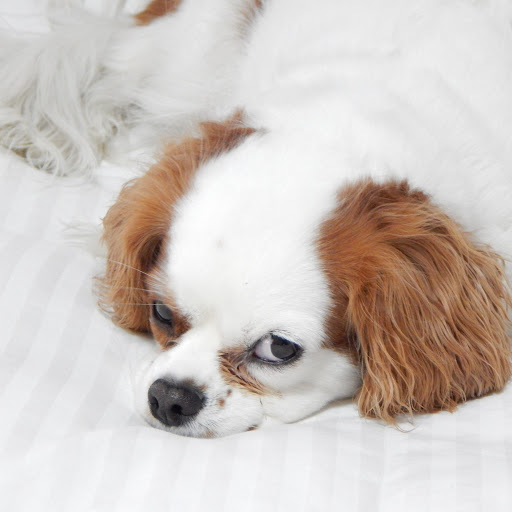 Hd-168897-ascw168897