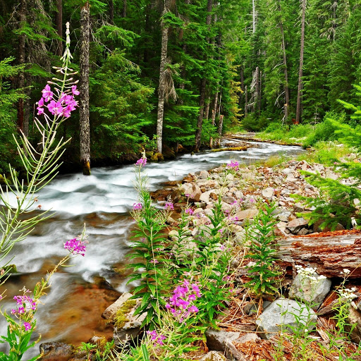 Hd-147461-ascw147461