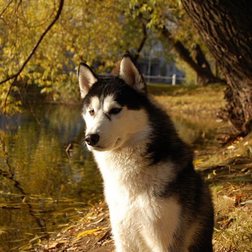 Hd-152866-ascw152866