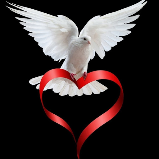 Hd-178020-ascw178020