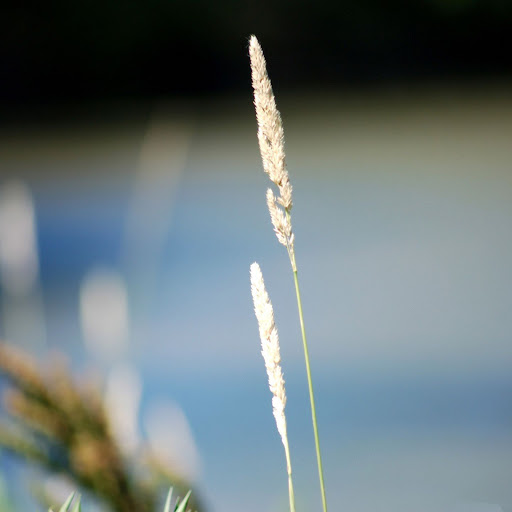 Hd-151444-ascw151444