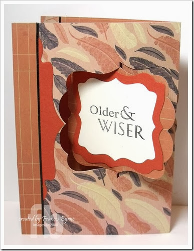 Older&Wiser3-wm