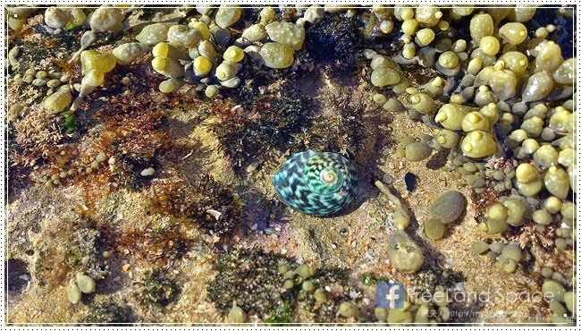 [mornington13%255B7%255D.jpg]