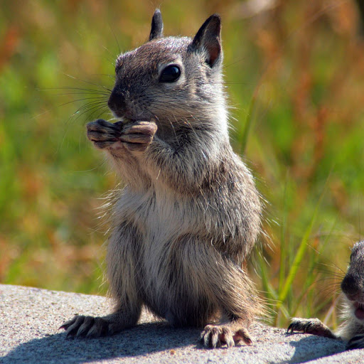 Hd-161191-ascw161191