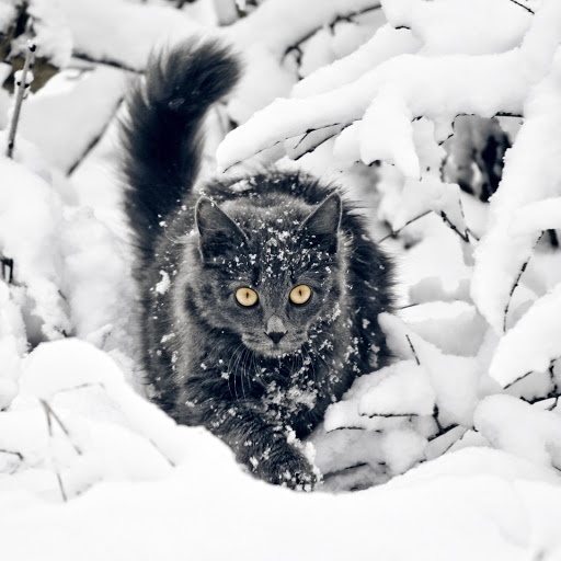 Hd-157949-ascw157949