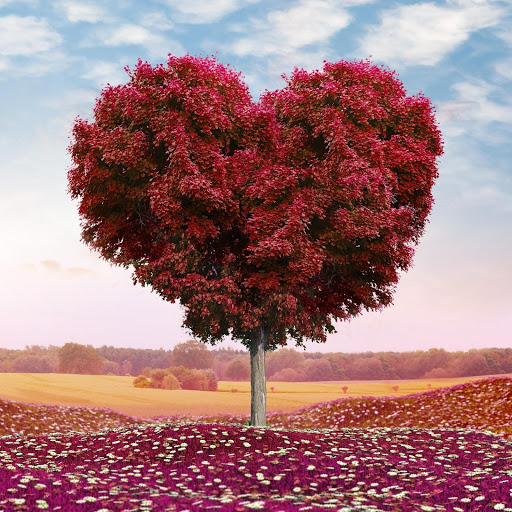 Hd-161074-ascw161074