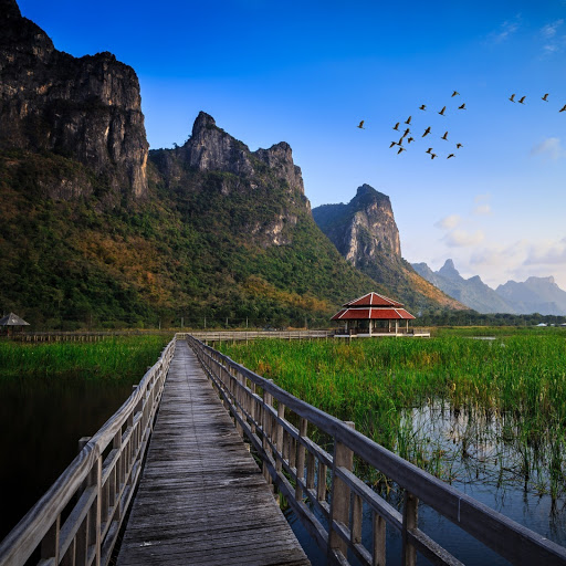 Hd-141157-ascw141157