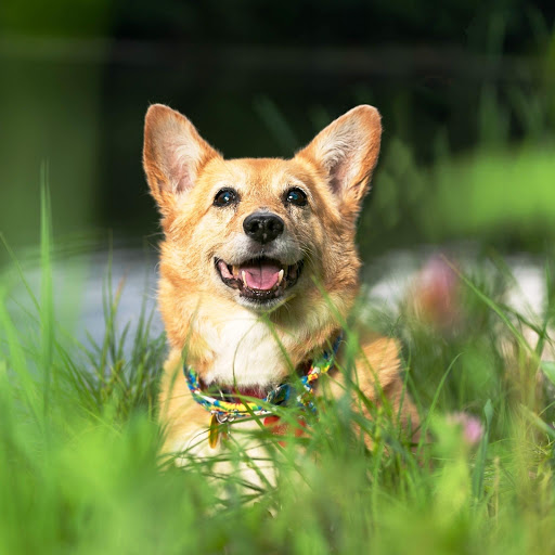 Hd-147601-ascw147601