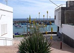 Tajao