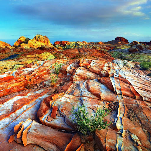 Hd-151488-ascw151488