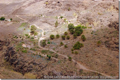 3774 Palmitos-Cercados Espino 3774 Palmitos-Cercados Espino