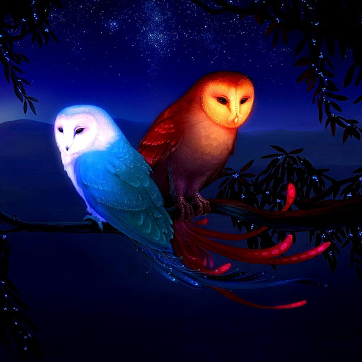 Hd-177781-ascw177781