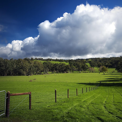 Hd-163904-ascw163904