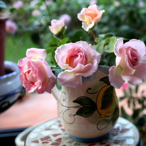 Hd-165753-ascw165753