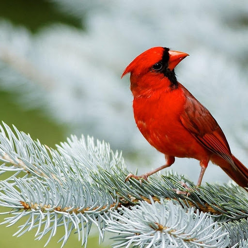 Hd-164679-ascw164679