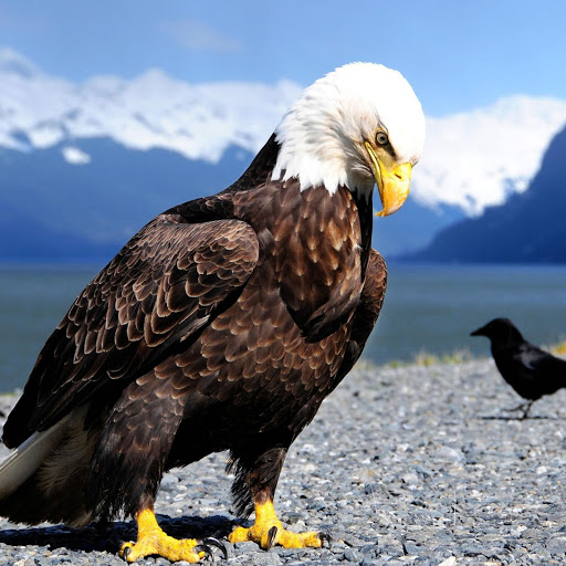 Hd-166167-ascw166167