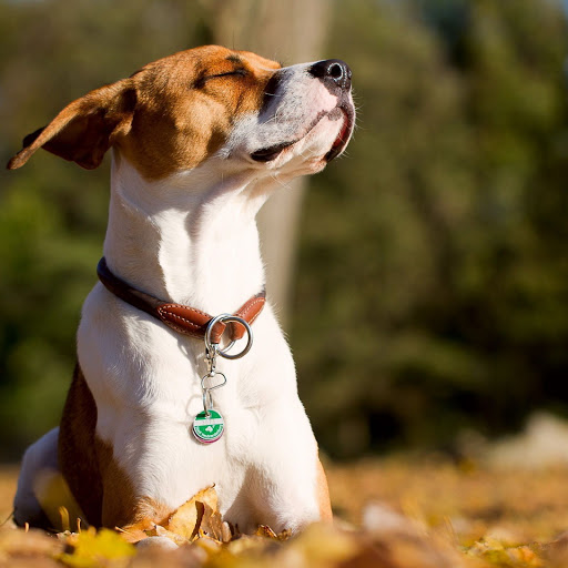 Hd-165045-ascw165045