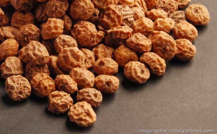 [evolu%2520tigernut%2520tuber%255B2%255D.jpg.webp]