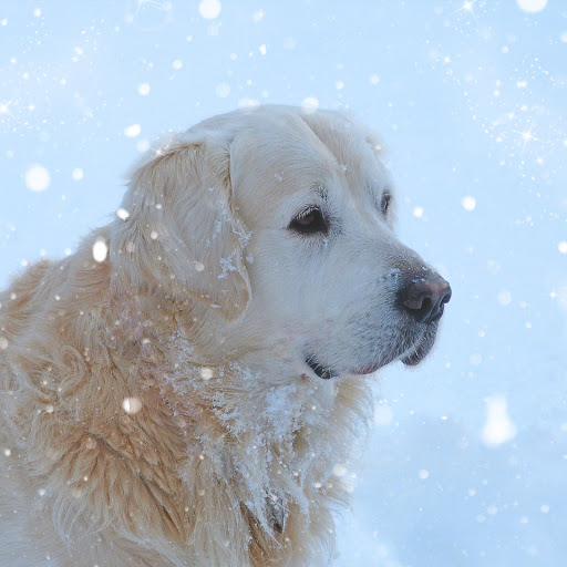 Hd-166244-ascw166244