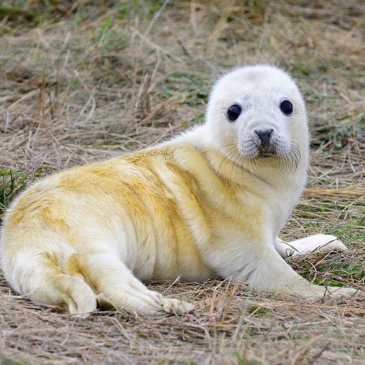 Hd-181539-ascw181539