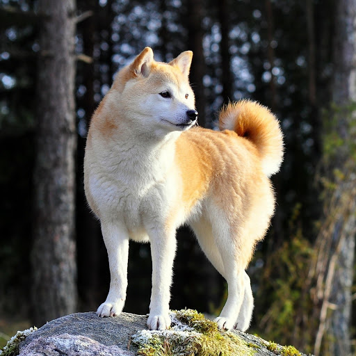 Hd-174808-ascw174808