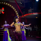 IMG_8080.jpg