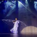 IMG_7677.jpg
