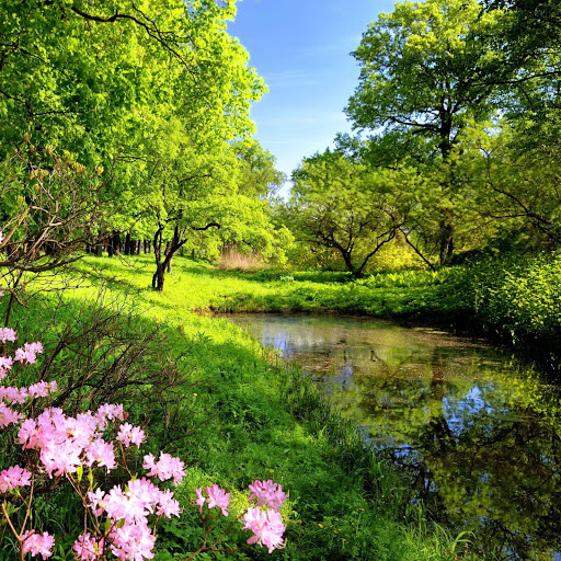 Hd-168726-ascw168726