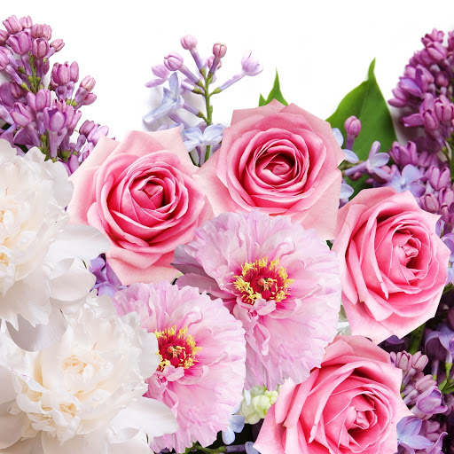 Hd-150402-ascw150402