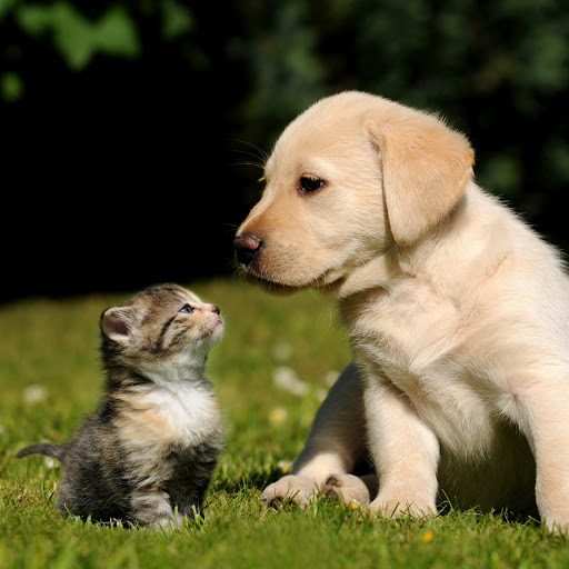 Hd-180646-ascw180646