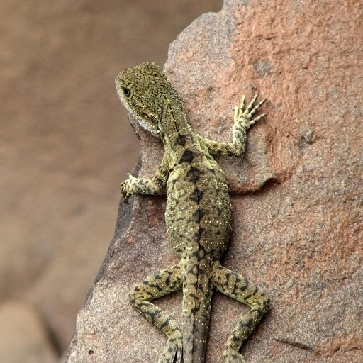 Hd-182631-ascw182631