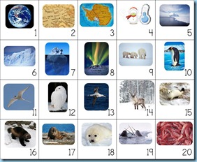 Calendar Connections Small Arctic and Antarctica2