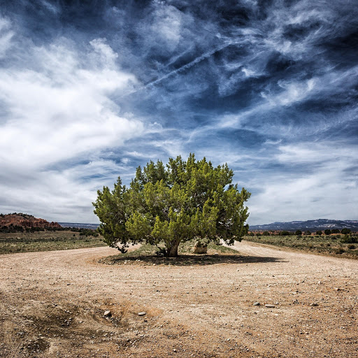 Hd-170226-ascw170226