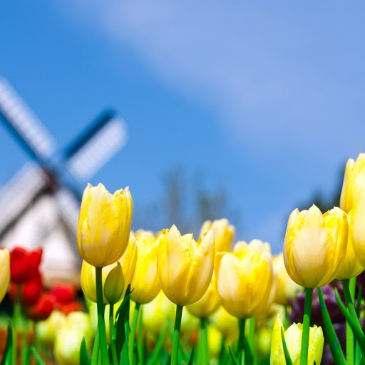 Hd-137001-ascw137001