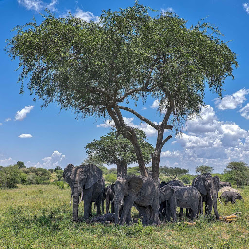 Hd-134627-ascw134627