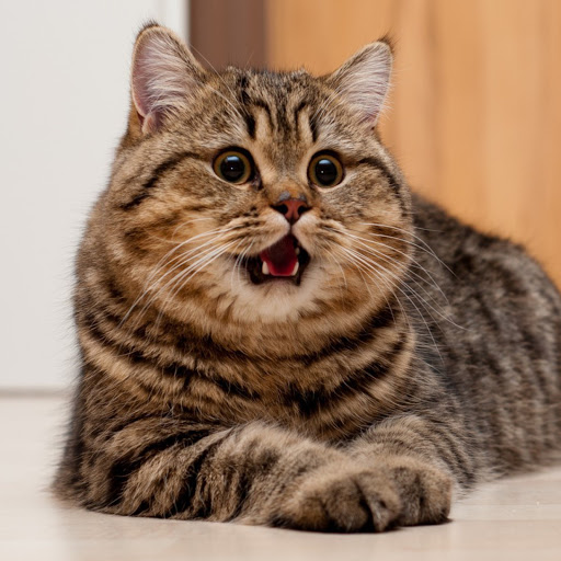 Hd-182605-ascw182605