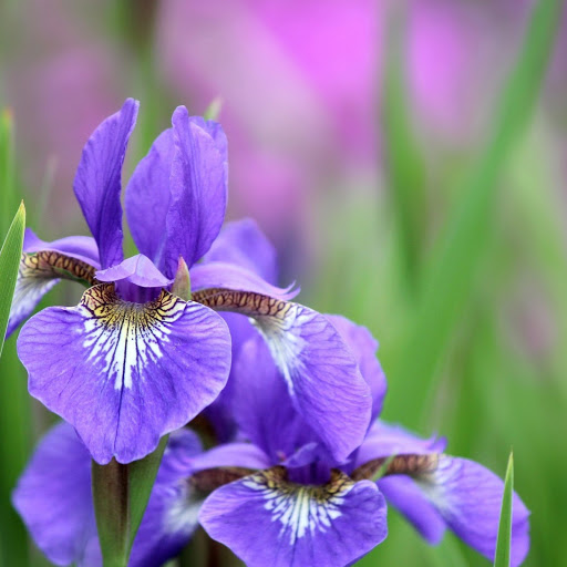 Hd-166971-ascw166971