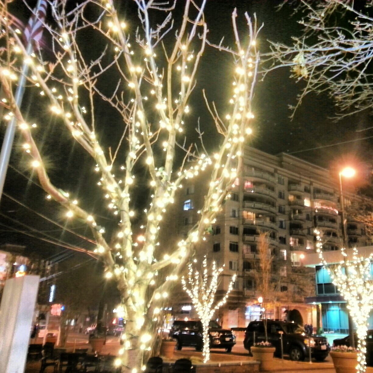 Robert Dyer Bethesda Row HOLIDAY LIGHTS IN VETERANS PARK (PHOTOS)