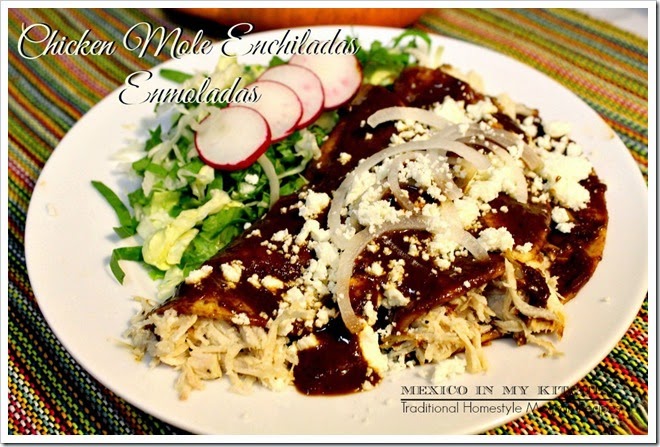 Chicken Mole Enchiladas | Authentic Mexican Food Recipes