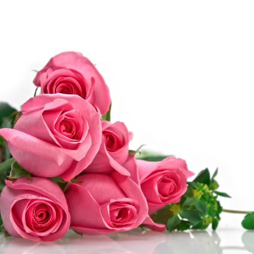 Hd-148248-ascw148248