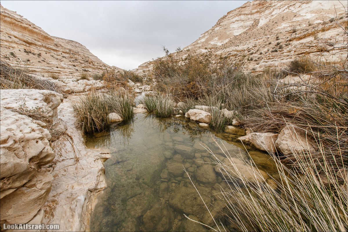Ручей Акев и источник Эйн Акев в пустыне Негев. LookAtIsrael.com - Фото путешествия по Израилю