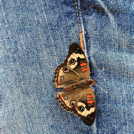 Hd-160096-ascw160096