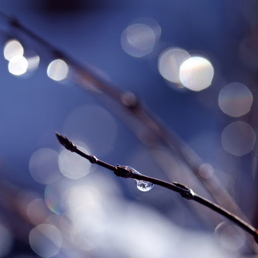 Hd-159076-ascw159076